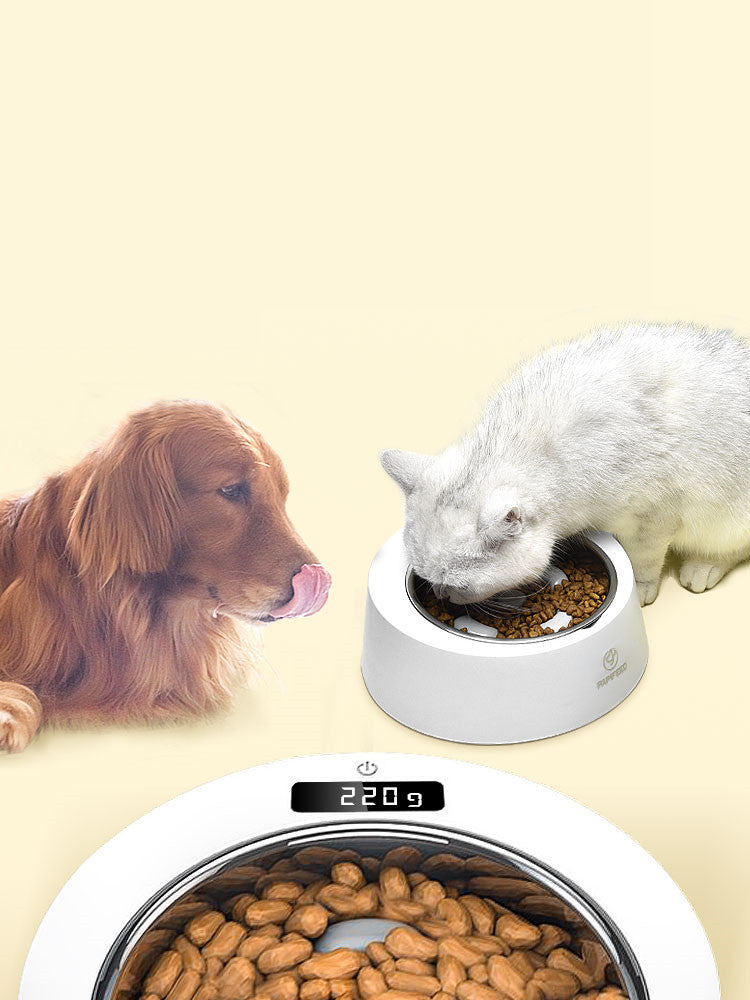 JMT-868042 Stainless Steel Anti-Tipping Weighing Bowl for Cats and Dogs, 500g Capacity