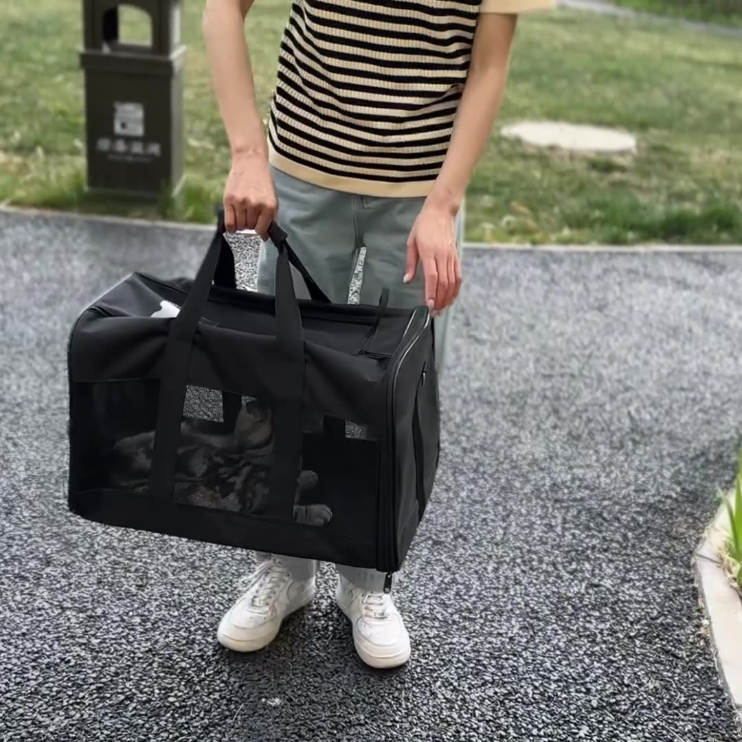 JMT-870666 Portable Foldable Pet Carrier for Dogs and Cats - Breathable Travel Handbag