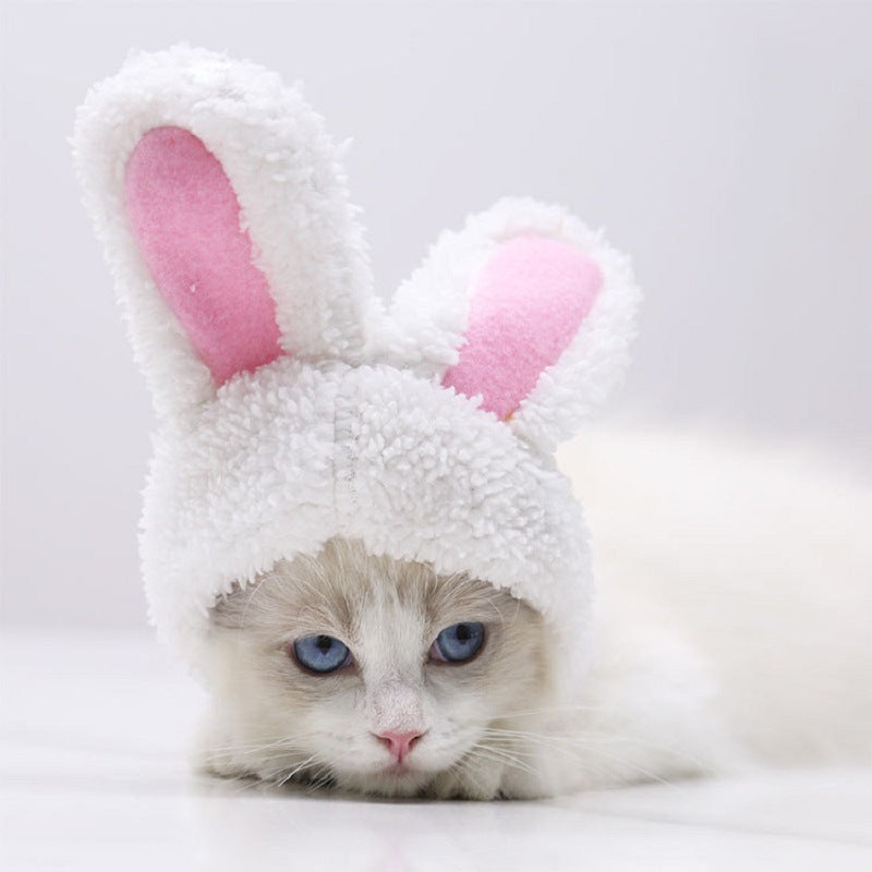 JMT-873290 Warm White Cashmere Rabbit Ears Hat for Pets, Suitable for 5-15 Cats