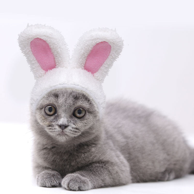 JMT-873290 Warm White Cashmere Rabbit Ears Hat for Pets, Suitable for 5-15 Cats