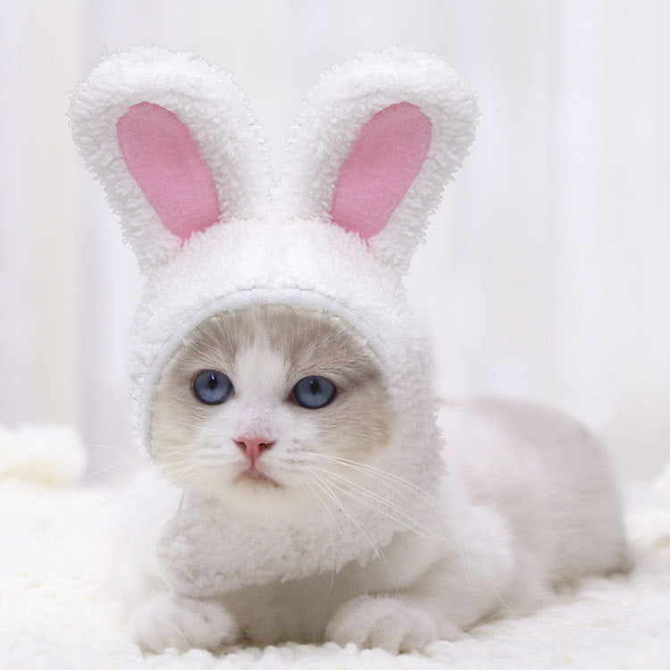 JMT-873290 Warm White Cashmere Rabbit Ears Hat for Pets, Suitable for 5-15 Cats