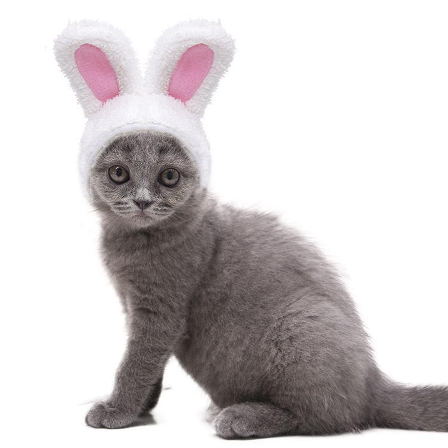 JMT-873290 Warm White Cashmere Rabbit Ears Hat for Pets, Suitable for 5-15 Cats