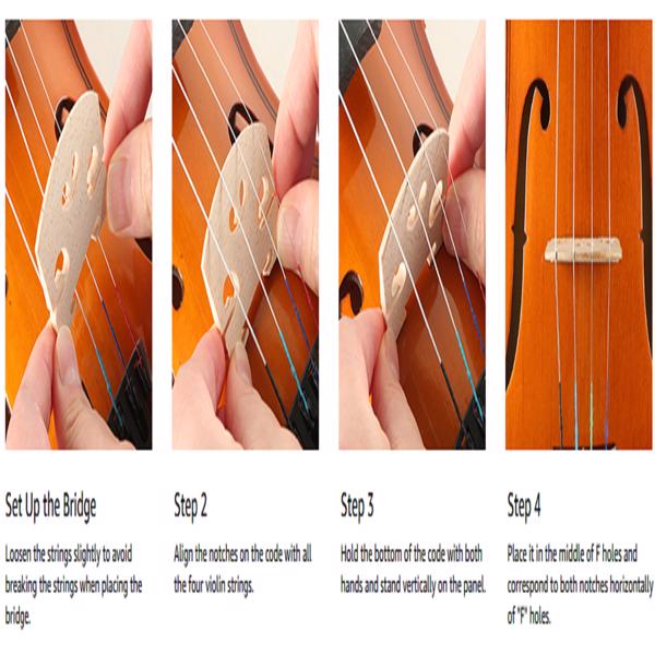 JMT-880266 Solid Wood Rosewood Violin Accessories in Matte Natural Finish
