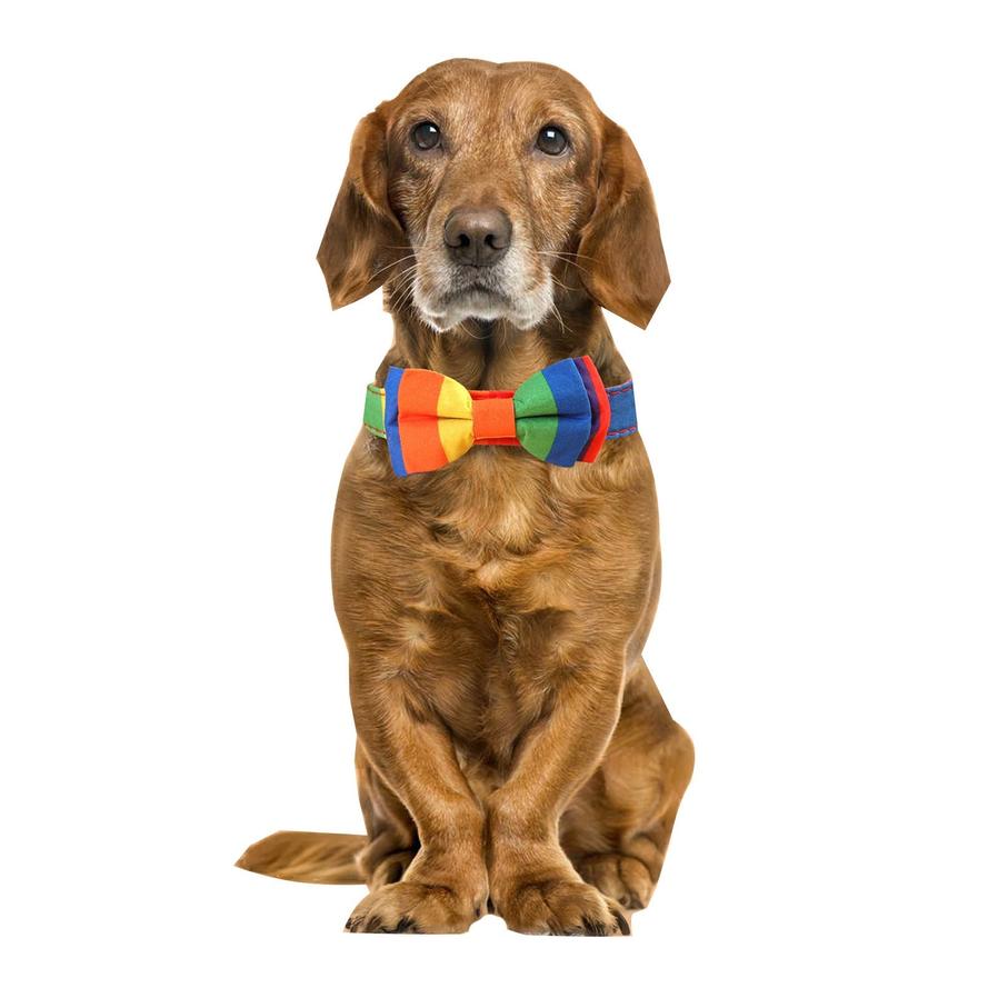 JMT-882186 Rainbow Pattern Pet Collar with Bow Tie for Cats and Dogs, Available in Multiple Sizes