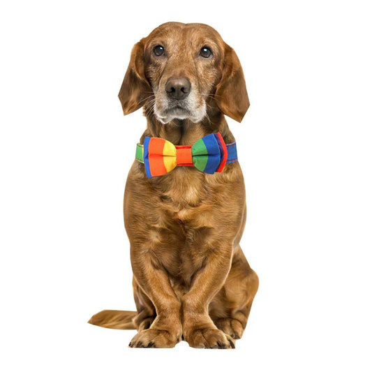 JMT-882186 Rainbow Pattern Pet Collar with Bow Tie for Cats and Dogs, Available in Multiple Sizes