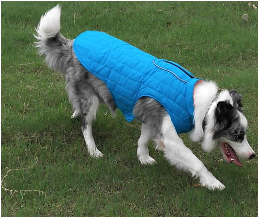 JMT-883594 Waterproof Reflective French Dog Jacket for Small to Large Dogs - Winter Pet Clothing in Red, Blue, and Purple