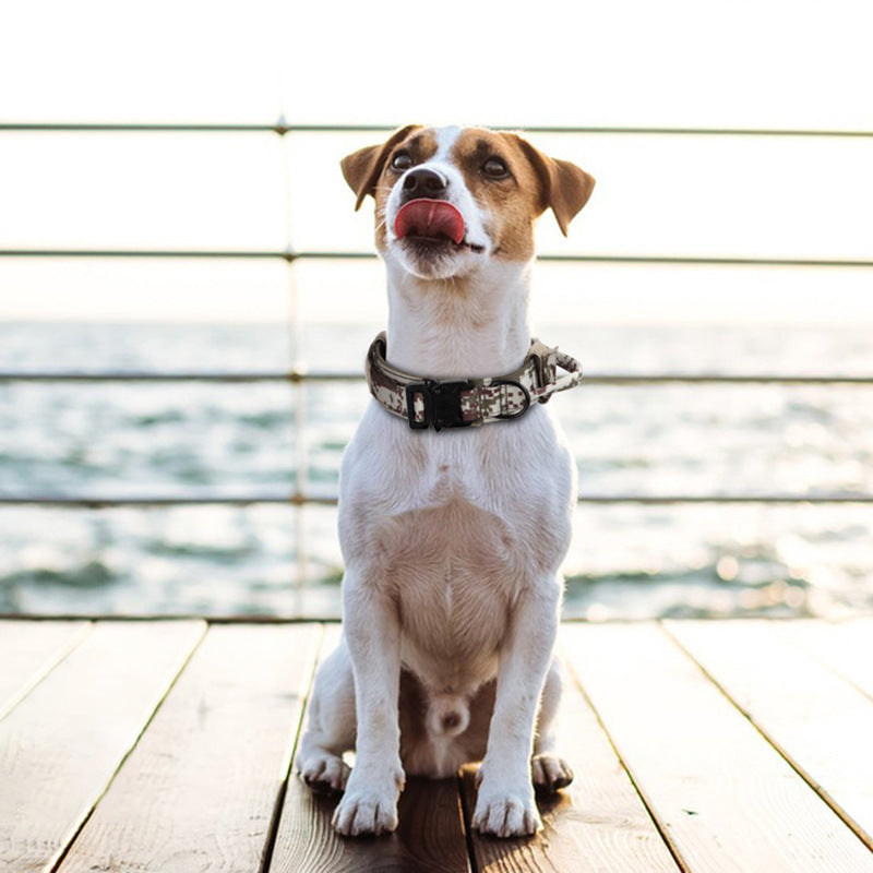 JMT-885642 Adjustable Tactical Dog Collar with Traction Rope for Medium to Large Breeds