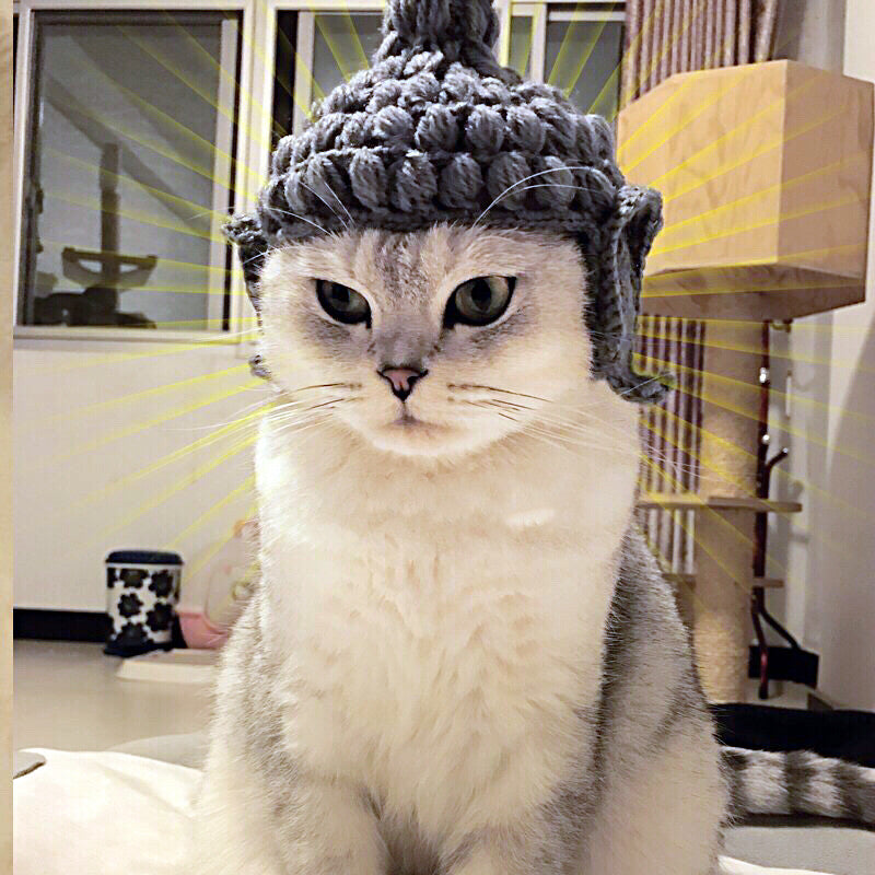 JMT-889098 Cute Knitting Wool Cat Hat for Pets - Available in Multiple Sizes