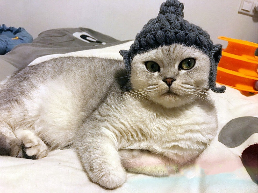JMT-889098 Cute Knitting Wool Cat Hat for Pets - Available in Multiple Sizes