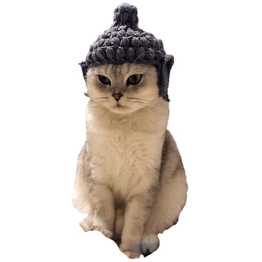JMT-889098 Cute Knitting Wool Cat Hat for Pets - Available in Multiple Sizes