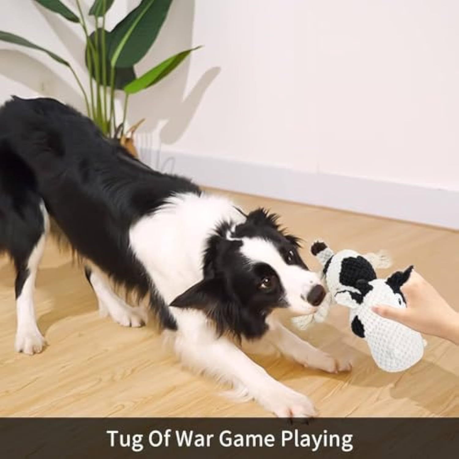 JMT-889418 Durable Cow Plush Dog Toy with Squeaker – Interactive Chew Toy for Small, Medium, and Large Dogs