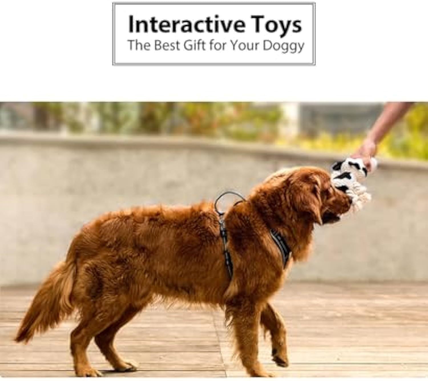 JMT-889418 Durable Cow Plush Dog Toy with Squeaker – Interactive Chew Toy for Small, Medium, and Large Dogs