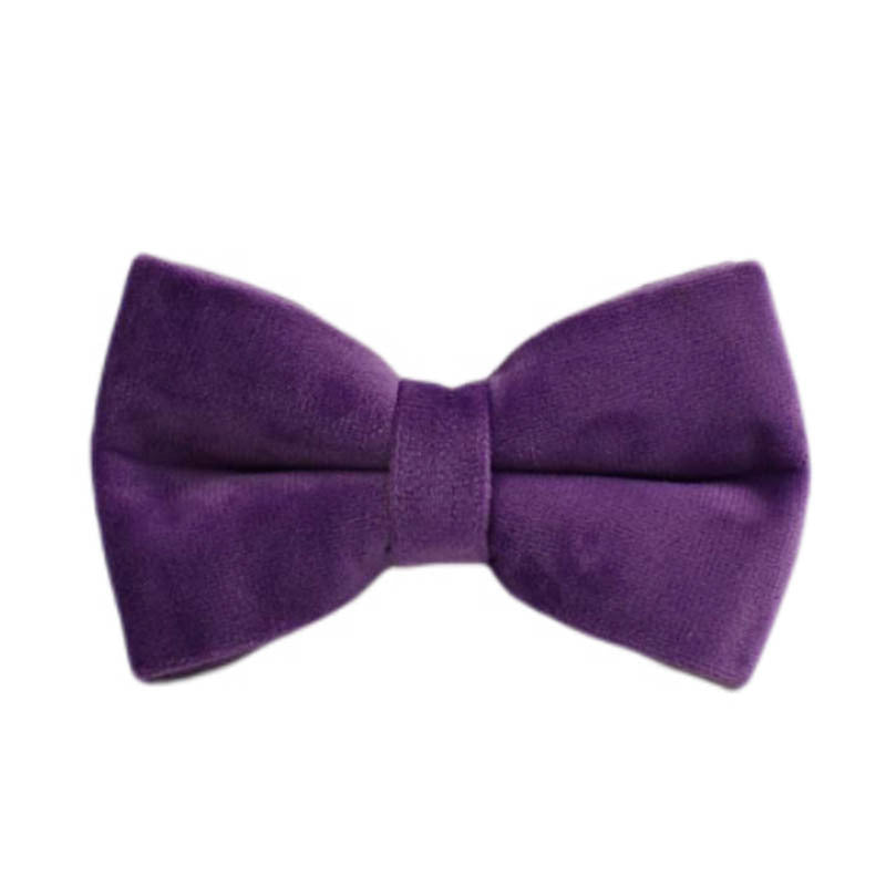 JMT-890762 Velvet Fabric Dog Collar Set with Leash, Bow, Flower, Vest, and Poop Bag - Scalable Sizes XS to XL