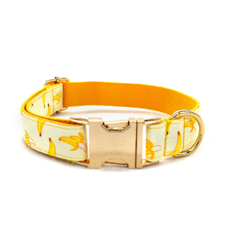 JMT-897994 Fruit Pattern Dog Collar with Gold Metal Buckle, Polyester Material, Multiple Sizes Available