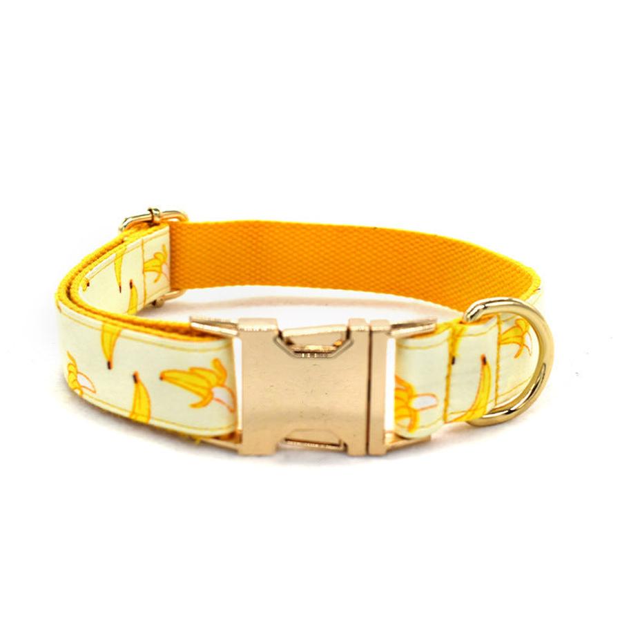 JMT-897994 Fruit Pattern Dog Collar with Gold Metal Buckle, Polyester Material, Multiple Sizes Available