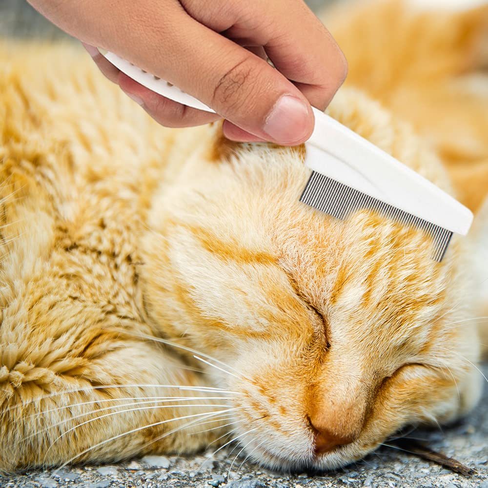 JMT-899722 Multifunctional Pet Grooming Comb for Tear Stain Removal and Tangle Management – Ideal for Small Dogs and Puppies