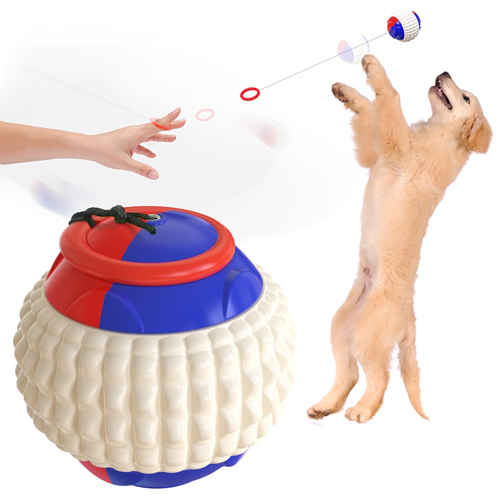 JMT-899786 Durable Plastic Toy Ball for Dog Training - Lightweight and Resistant, Ideal for Throwing Activities