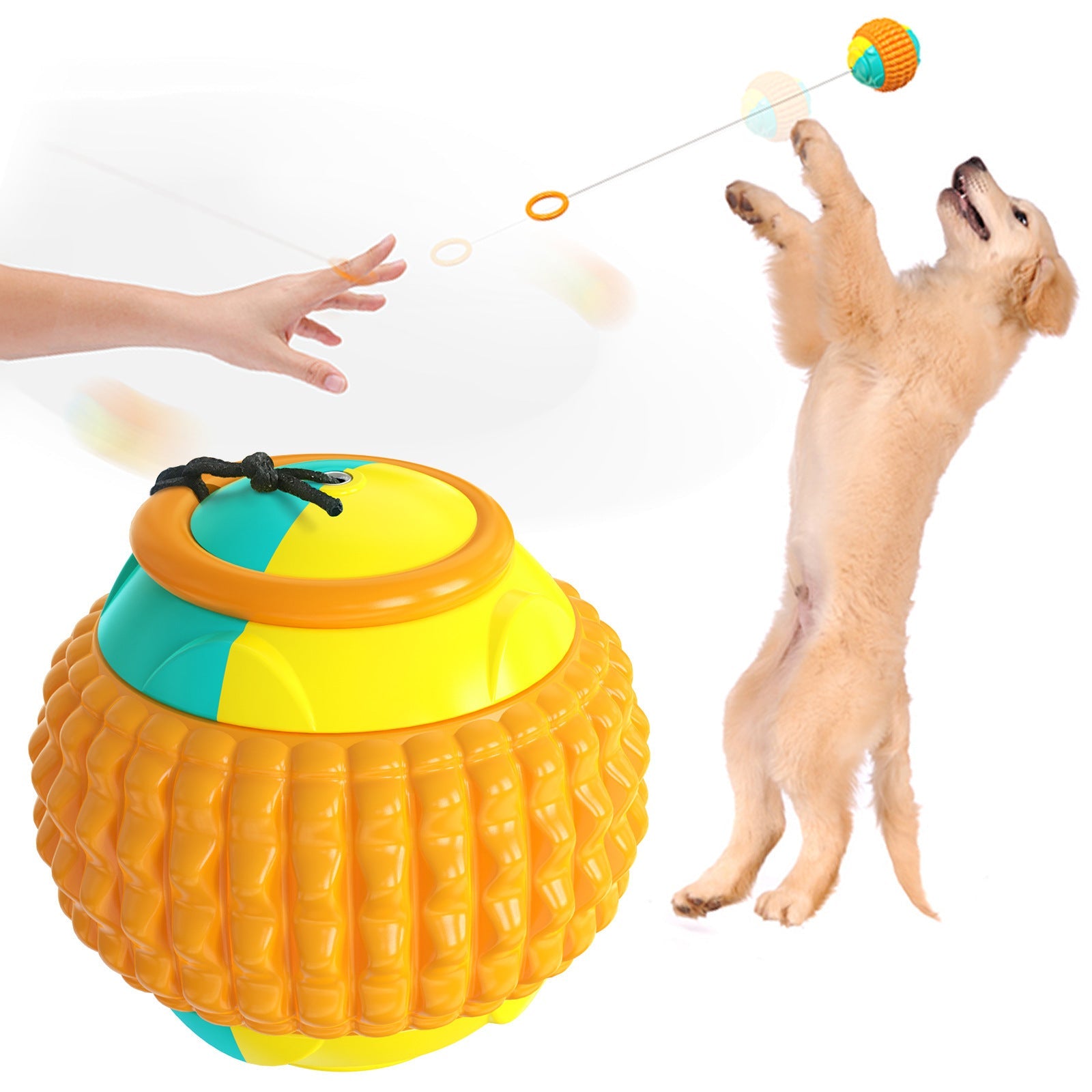JMT-899786 Durable Plastic Toy Ball for Dog Training - Lightweight and Resistant, Ideal for Throwing Activities