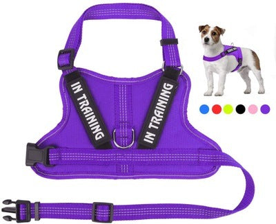 JMT-905418 Personalized Pet Harness for Comfort and Control
