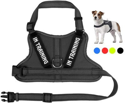 JMT-905418 Personalized Pet Harness for Comfort and Control