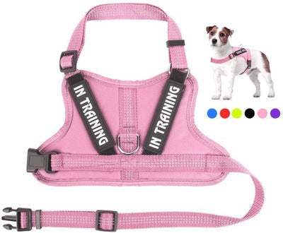 JMT-905418 Personalized Pet Harness for Comfort and Control