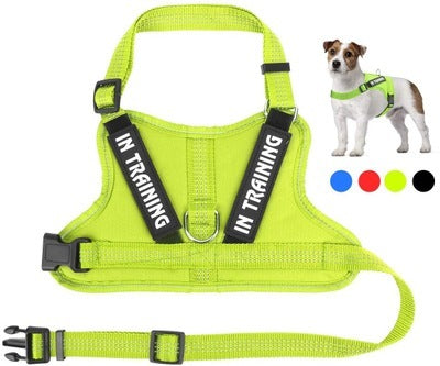 JMT-905418 Personalized Pet Harness for Comfort and Control