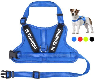 JMT-905418 Personalized Pet Harness for Comfort and Control