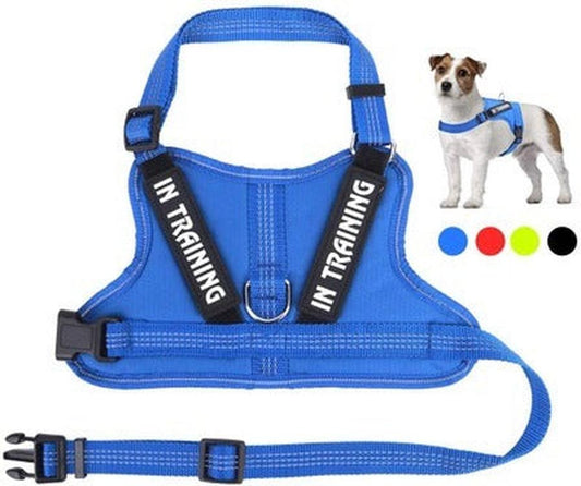 JMT-905418 Personalized Pet Harness for Comfort and Control