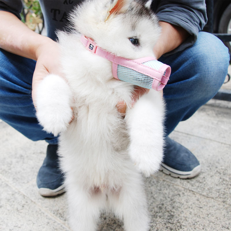 JMT-907722 Soft Leather Mesh Breathable Dog Muzzle for Small to Large Breeds