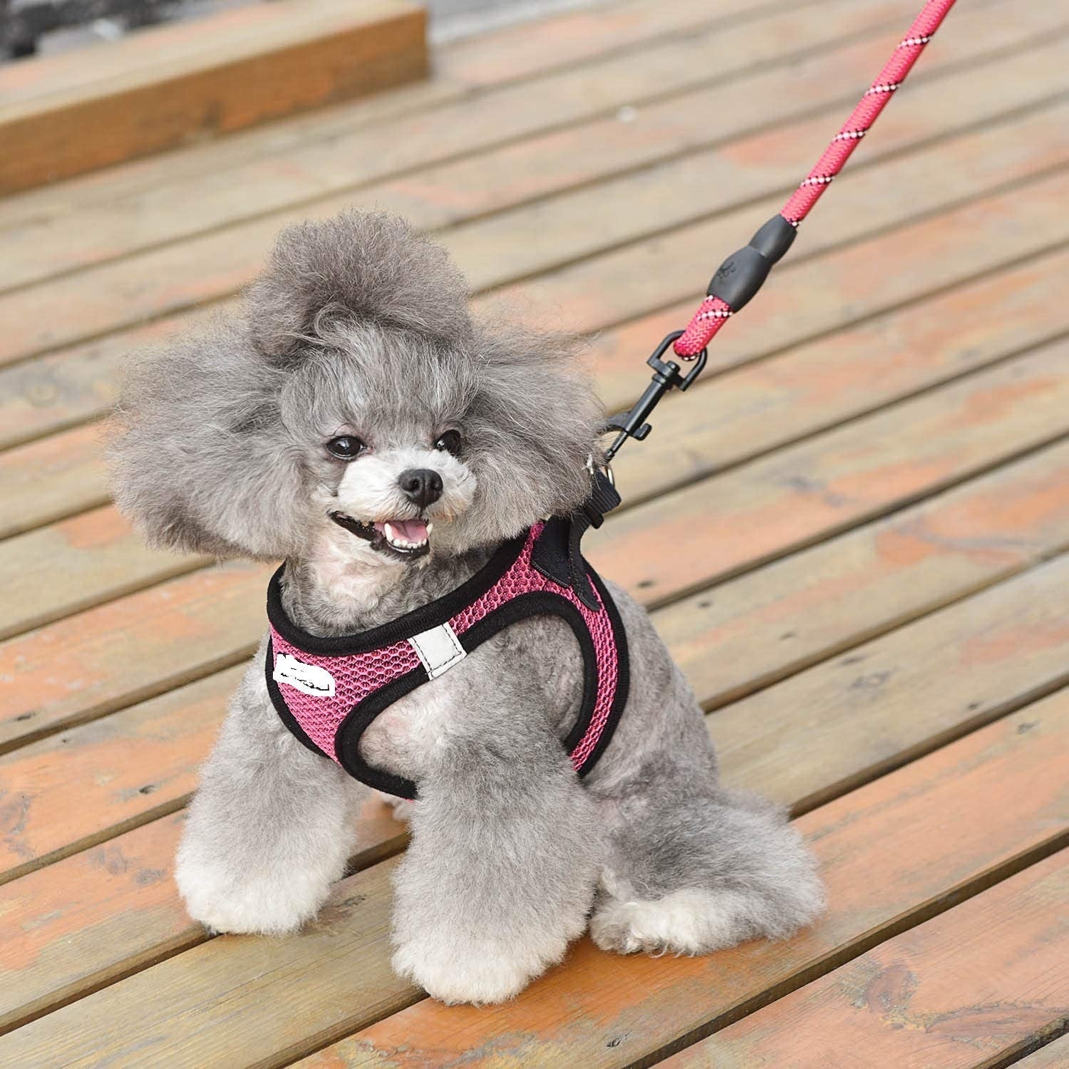 JMT-913482 Reflective Nylon Dog Leash for Enhanced Visibility and Control