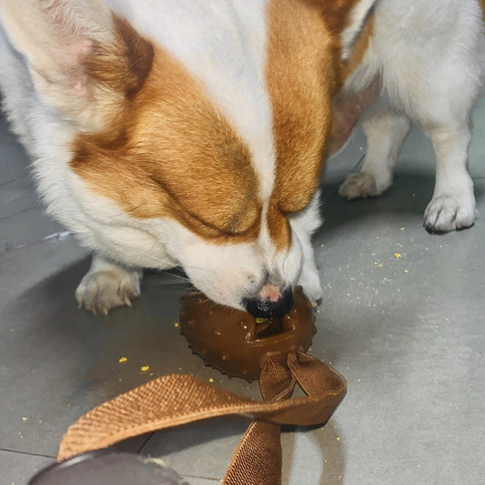 JMT-914634 Pet Tooth Cleaning Ball with Coffee Bean Design, Rope Knot for Slow Eating and Chewing, Durable TPR Material