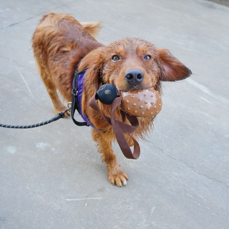 JMT-914634 Pet Tooth Cleaning Ball with Coffee Bean Design, Rope Knot for Slow Eating and Chewing, Durable TPR Material