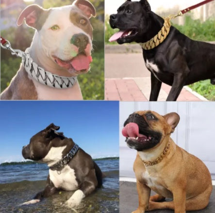 JMT-917258 Gold Stainless Steel Cast Dog Collar - Available in 40cm to 65cm Sizes