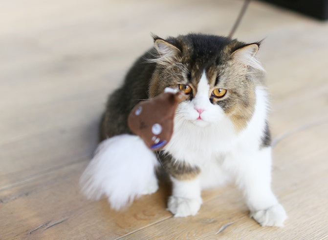 JMT-919882 Bite-Resistant Cat Teaser Stick with Plush Feather for Interactive Play