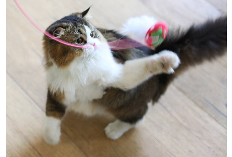 JMT-919882 Bite-Resistant Cat Teaser Stick with Plush Feather for Interactive Play