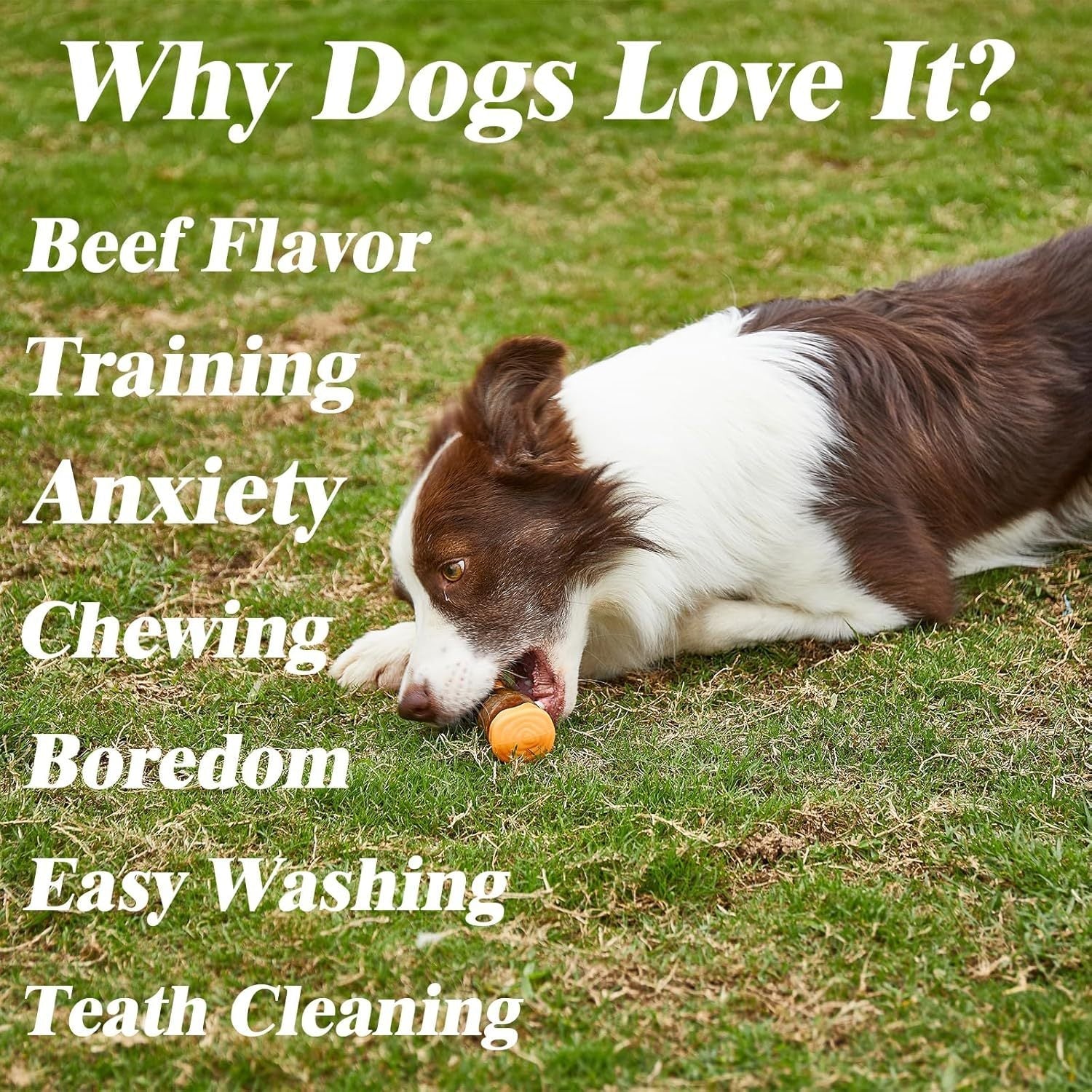 JMT-921034 Indestructible Dog Bones Chew Toy - Real Beef Flavor, Safe Nylon & Cowhide, Ideal for Aggressive Chewers of All Sizes