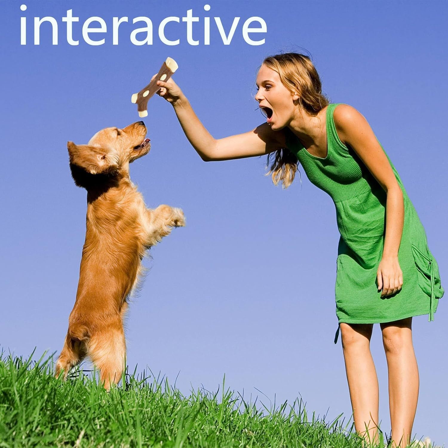 JMT-921034 Indestructible Dog Bones Chew Toy - Real Beef Flavor, Safe Nylon & Cowhide, Ideal for Aggressive Chewers of All Sizes