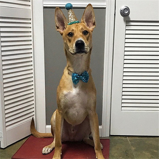 JMT-921866 Sequin Bow Tie for Dogs in Solid Colors - Blue, Rose Red, White, Red, Pink