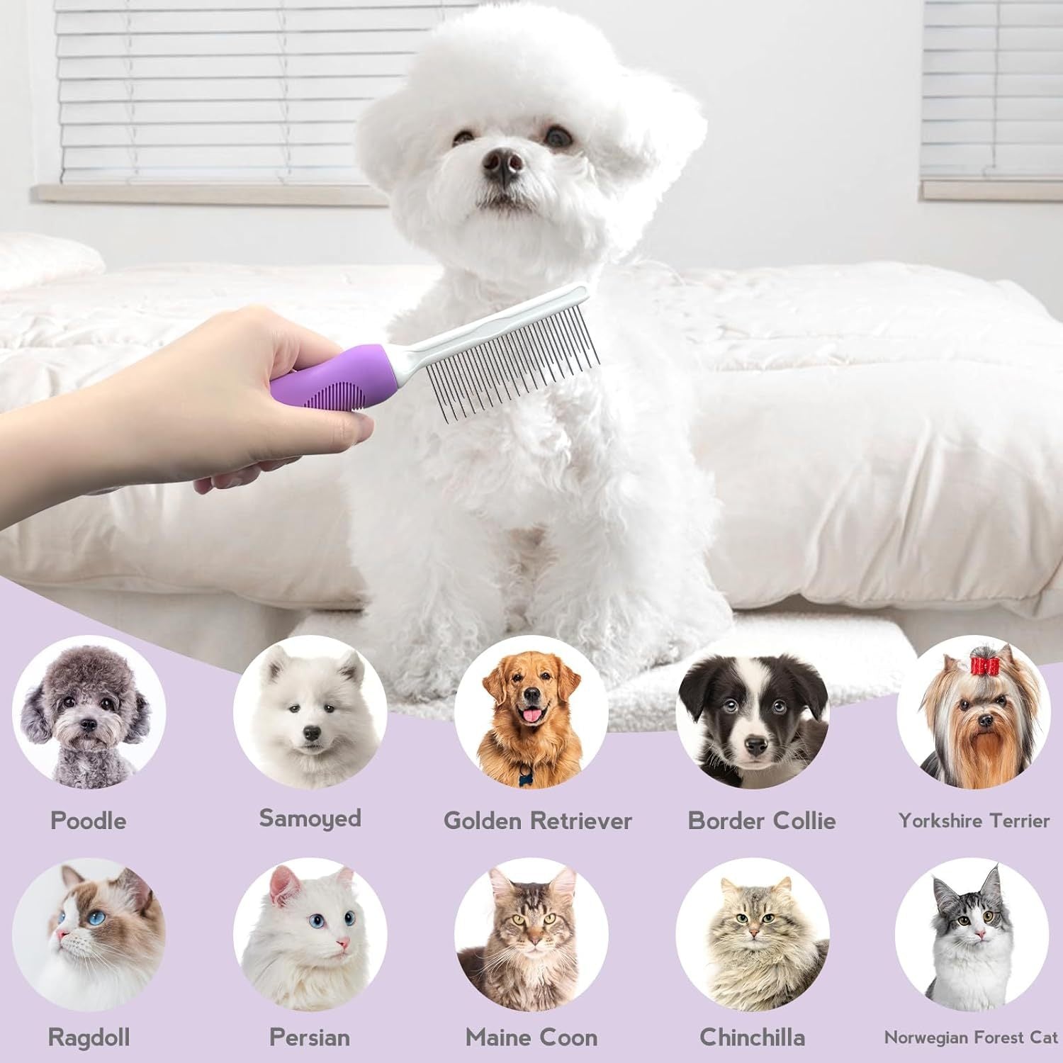 JMT-926474 Detangling Comb for Dogs and Cats with Stainless Steel Teeth - Gentle Grooming Tool for Tangles and Mats