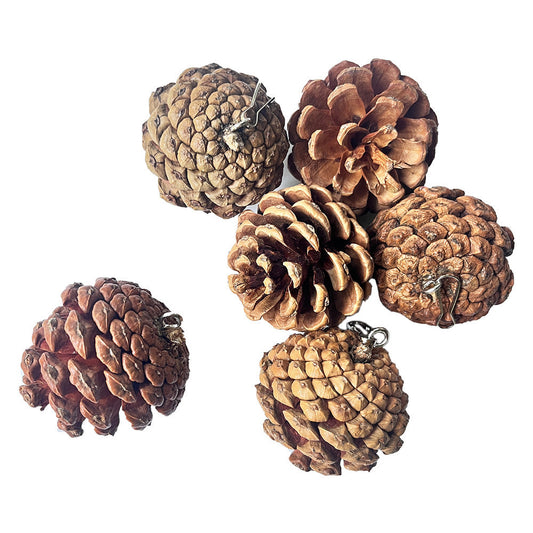 JMT-927946 Pine Cone Parrot Bite Toy with Hanging Studs for Engaging Pet Play