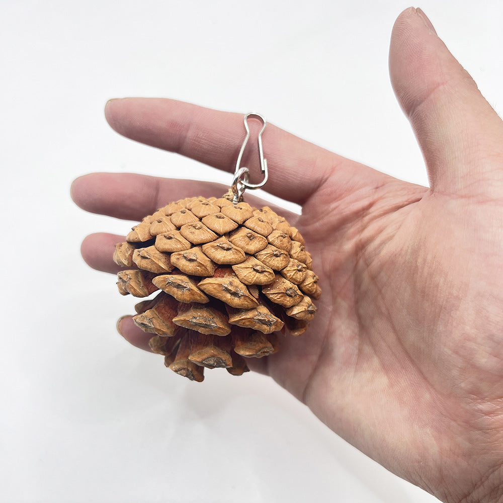 JMT-927946 Pine Cone Parrot Bite Toy with Hanging Studs for Engaging Pet Play