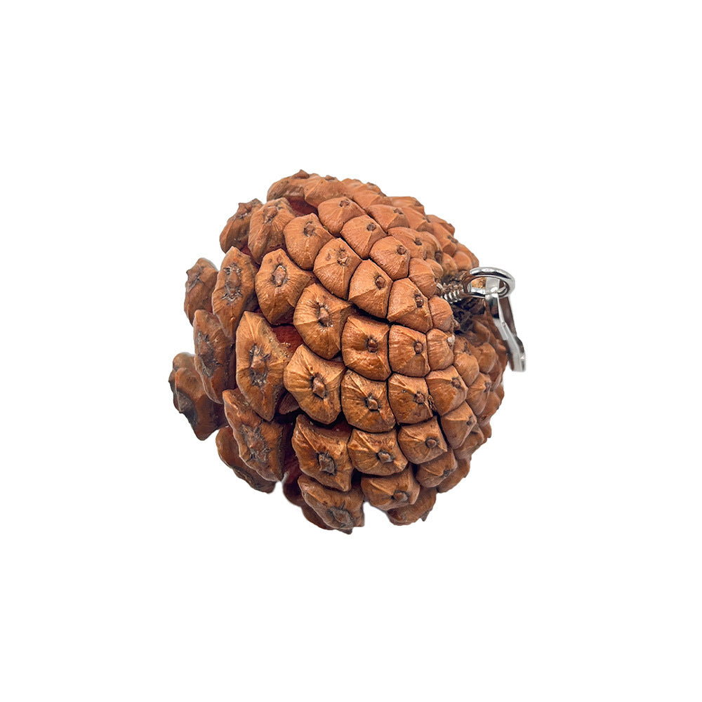 JMT-927946 Pine Cone Parrot Bite Toy with Hanging Studs for Engaging Pet Play