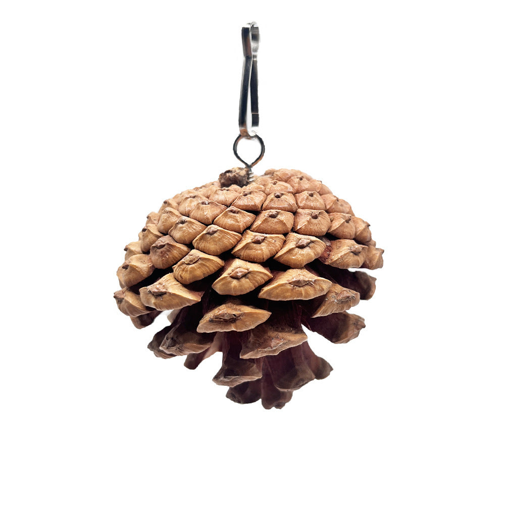 JMT-927946 Pine Cone Parrot Bite Toy with Hanging Studs for Engaging Pet Play