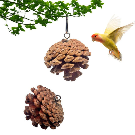 JMT-927946 Pine Cone Parrot Bite Toy with Hanging Studs for Engaging Pet Play