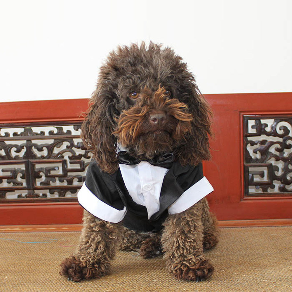 JMT-928586 Elegant Cotton Bow Tie Evening Dress for Dogs in Black and Gray, Available in Multiple Sizes
