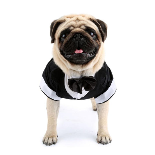 JMT-928586 Elegant Cotton Bow Tie Evening Dress for Dogs in Black and Gray, Available in Multiple Sizes