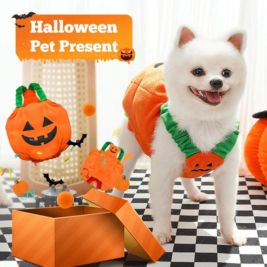 JMT-931018 Funny Pumpkin Plush Costume for Small and Medium Dogs and Cats - Adorable Halloween Dress-Up Outfit
