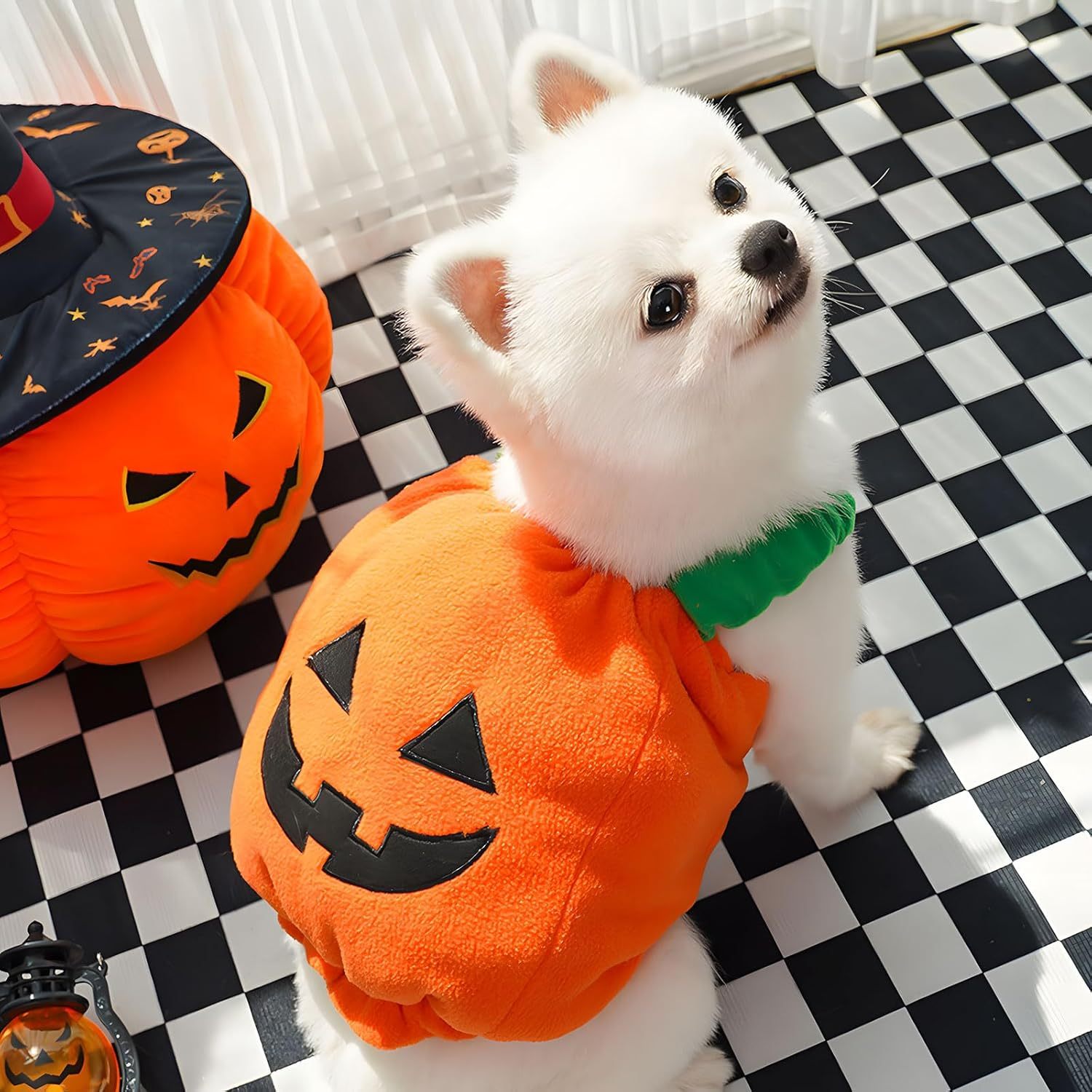 JMT-931018 Funny Pumpkin Plush Costume for Small and Medium Dogs and Cats - Adorable Halloween Dress-Up Outfit