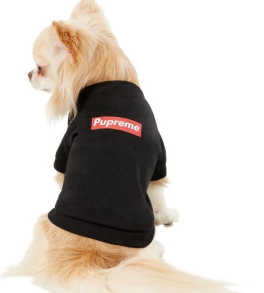 JMT-932170 Breathable Cotton Pet T-Shirt for Dogs - Available in Black and White, Sizes S to XXL