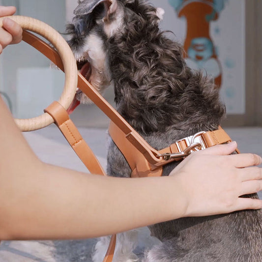 JMT-933898 Stylish Minimalist Super-Fiber Comfortable Pet Leash for Small to Medium Dogs